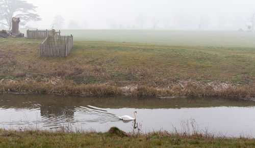 Scenic view of field by lake