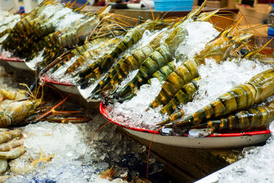 High angle view of seafood on barbecue grill