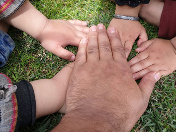 High angle view of people hands on grass