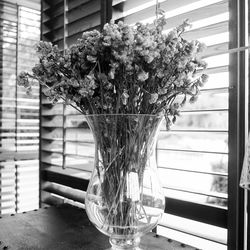 Close-up of flower tree