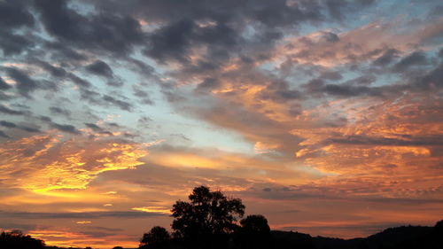 Silhouette of trees at sunset