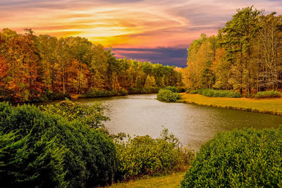 Scenic view of river by trees against sky during sunset
