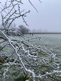 Frosty countyside walk