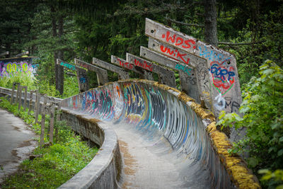 Graffiti on wall by trees in forest