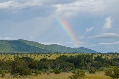 Scenic view of rainbow against sky at tsavo national park, kenya 