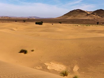 Scenic view of desert against sky