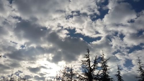 Low angle view of tree against cloudy sky