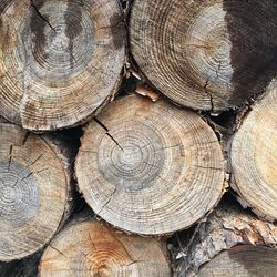 Full frame shot of logs in forest