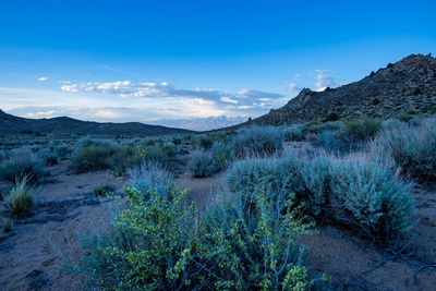 View in the buttermilks of sierra nevada mountains under dusk sky