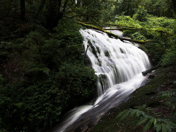Scenic view of waterfall in forest