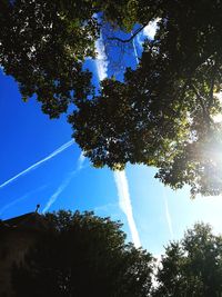 Low angle view of trees against sky