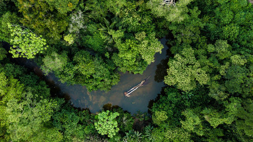 High angle view of river amidst trees in forest