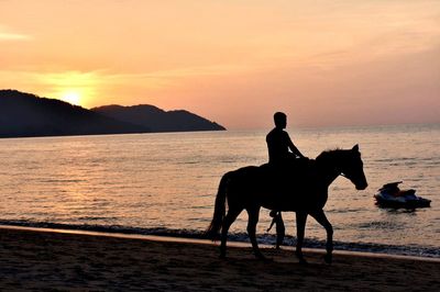 Silhouette man riding horse on sea shore against sunset sky