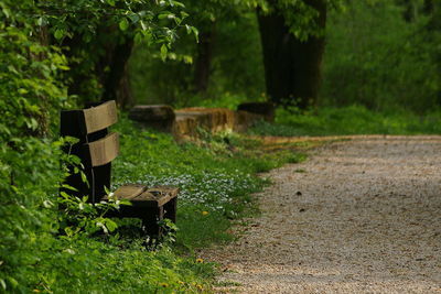 Bench in park