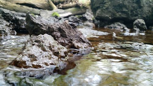 Rocks in sea