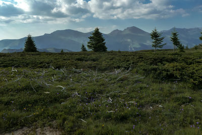 Scenic view of landscape against cloudy sky