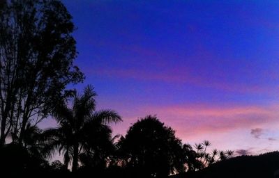 Silhouette of trees against sky at sunset