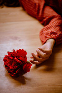 Close-up of hand holding red rose on table