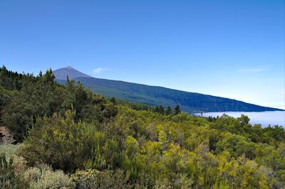 Scenic view of landscape against blue sky