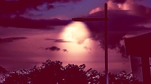 Low angle view of silhouette trees against sky at dusk