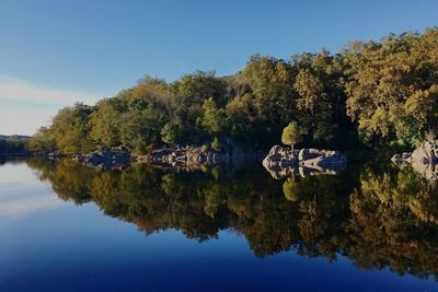 Scenic view of river by trees against blue sky 