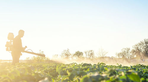 Farmer spraying plants with pesticides in the early morning. protecting against insect