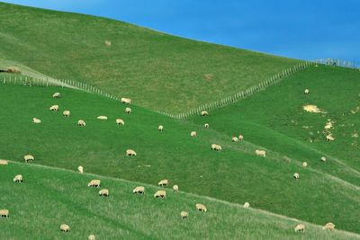 Scenic view of green landscape against sky