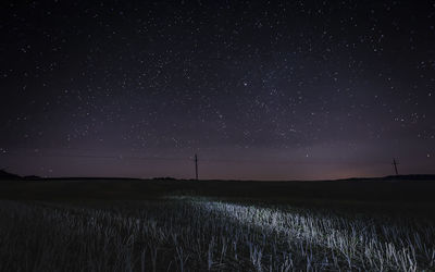 Scenic view of grassy field against starry sky