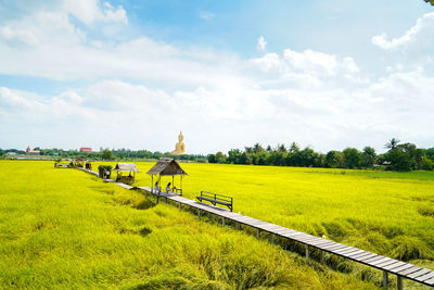 Scenic view of field against sky