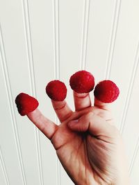 Close-up of red berries on tip of persons finger