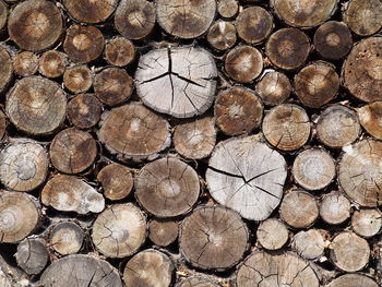 Full frame shot of logs