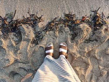 Standing on the white sand