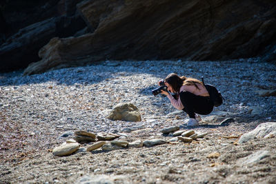 Birds perching on rock