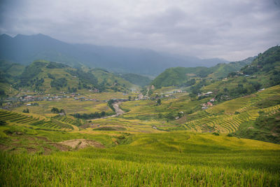 Scenic view of agricultural field against sky