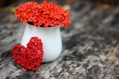 Close-up of red rose on table