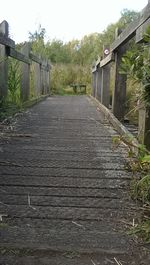 Surface level of footpath amidst trees against sky