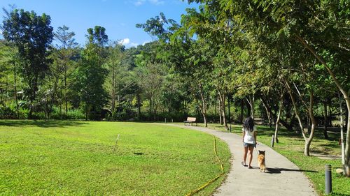 Rear view of woman standing amidst trees