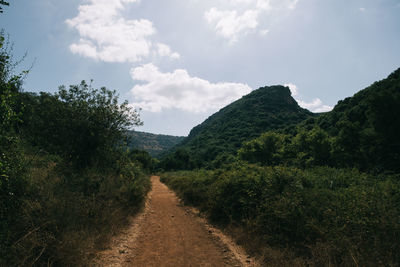 Road amidst plants and trees against sky