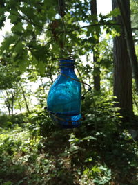 Low angle view of blue hanging on tree in forest