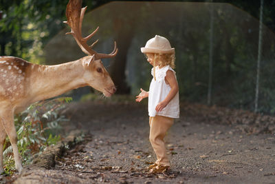 Cute baby girl, toddler, child feeding big brown deer, fawn with antlers in forest, park, 