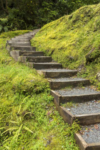 High angle view of stairs along trees