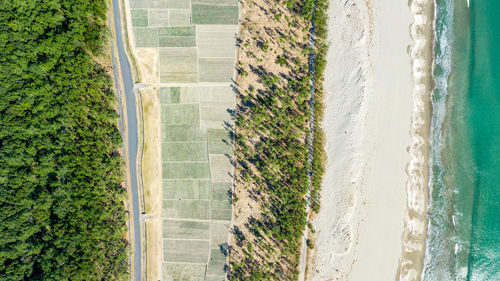 High angle view of plants by building