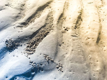 High angle view of tire tracks on frozen beach
