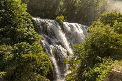 Scenic view of waterfall in forest