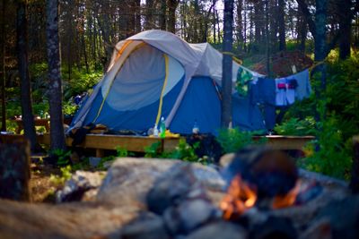 Tent in forest