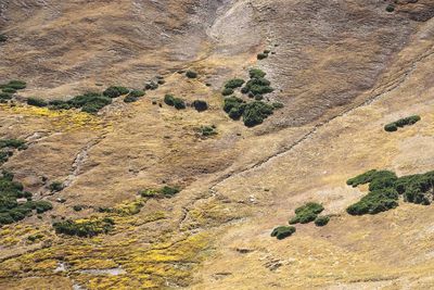 High angle view of landscape