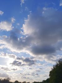 Low angle view of trees against sky