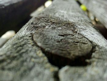 Close-up of wood