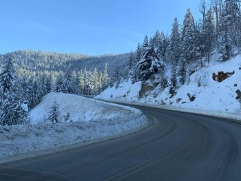 Snow covered road by trees against sky