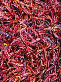 Dried chili